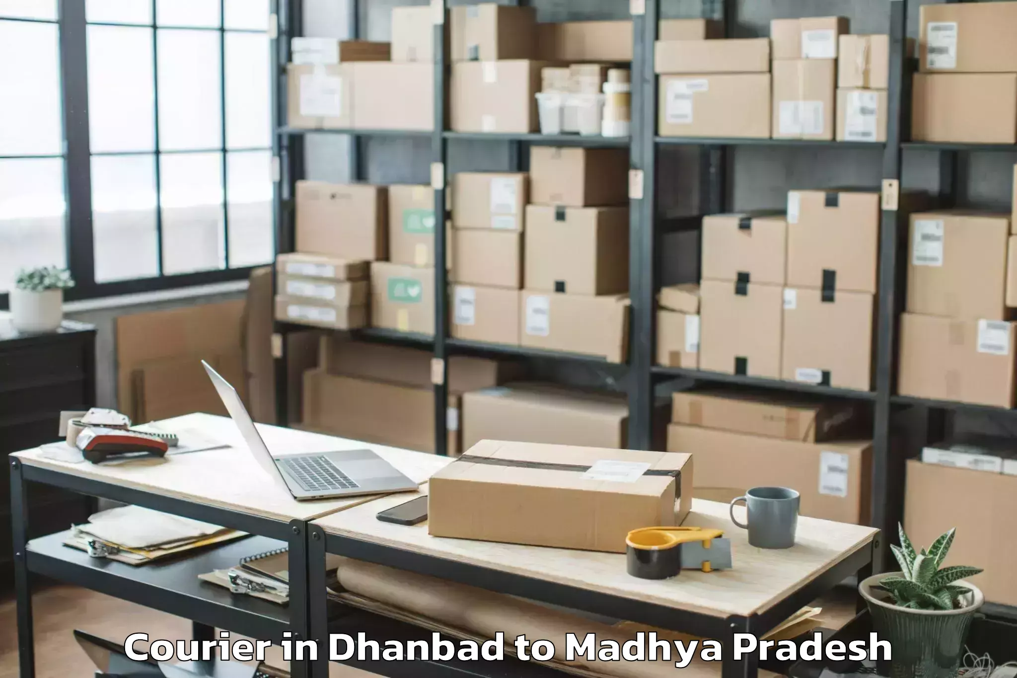 Quality Dhanbad to Maharajpur Courier